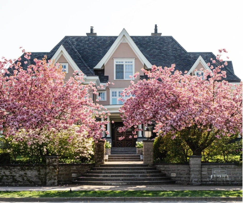 How To Get Your Roof Ready For Spring